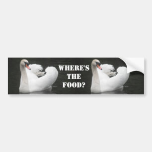 Bumper Sticker, Swan Swimming Sticker