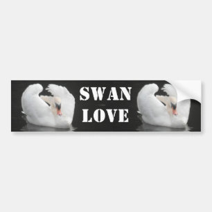 Bumper Sticker Swan Swimming, Swan Love