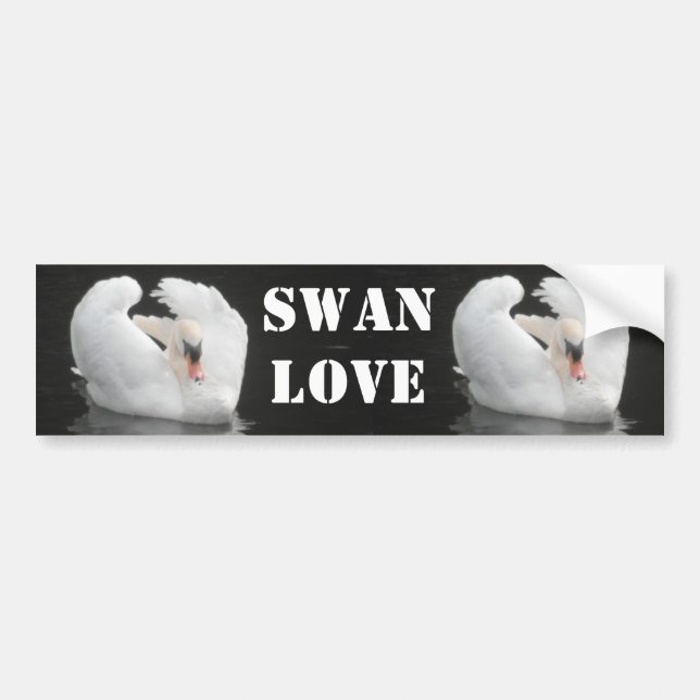 Bumper Sticker Swan Swimming, Swan Love (Front)