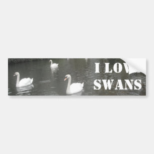 Bumper Sticker Swans Swimming, I Love Swans