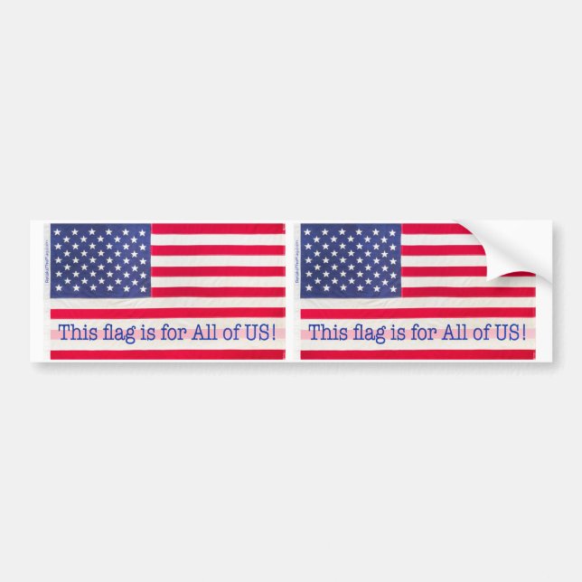Bumper Sticker-This flag is for All of US! message Sticker (Front)