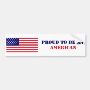 Bumper Sticker _ USA