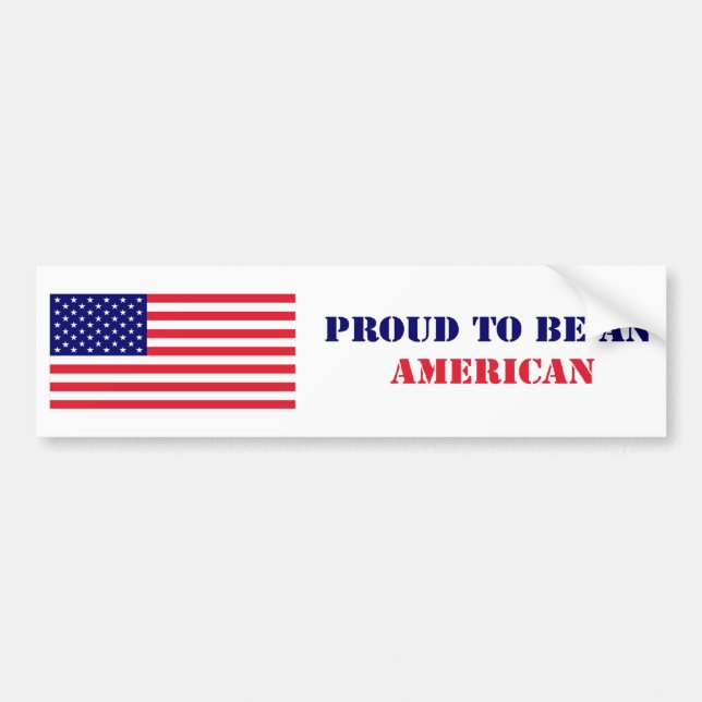 Bumper Sticker _ USA (Front)