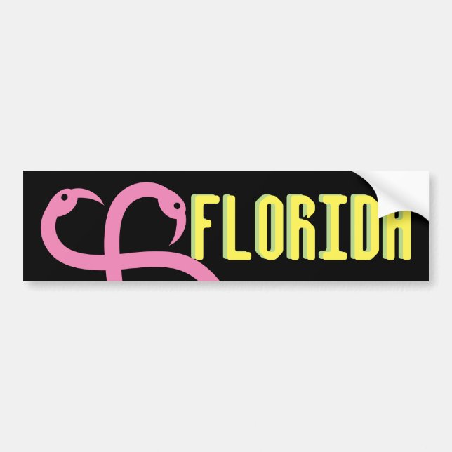Bumper Sticker Visual Fun Florida Pink Flamingos (Front)