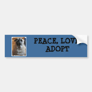 Bumper Sticker with pug