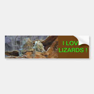 Bumper Sticker with two curious lizards
