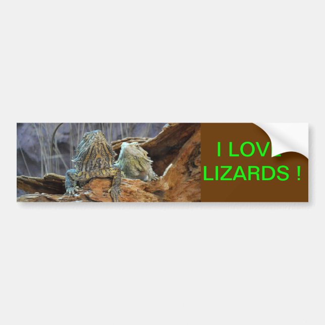 Bumper Sticker with two curious lizards (Front)