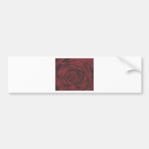 Bumper Stickers