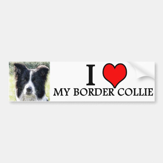 bumpersticker border collie bumper sticker (Front)
