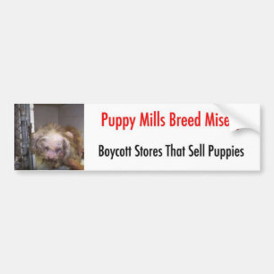 Bumpersticker Bumper Sticker