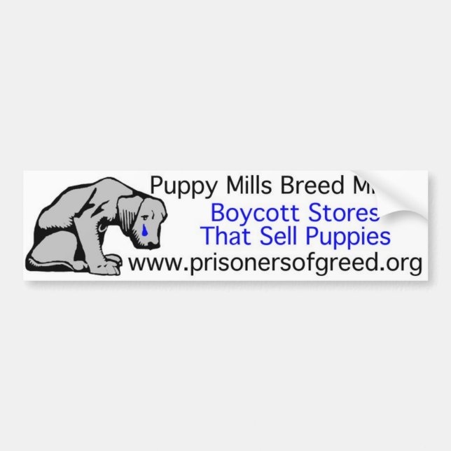 Bumpersticker Bumper Sticker (Front)