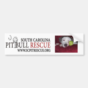 Bumpre Sticker