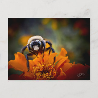 Bunble Bee Postcard