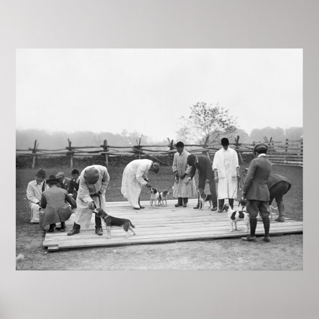 Bunch of Beagles, 1914 Poster (Front)