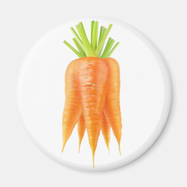 Bunch of carrots magnet (Front)