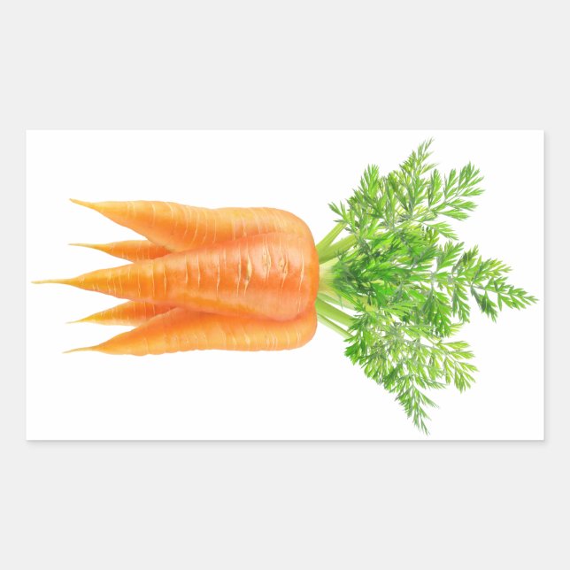 Bunch of carrots rectangular sticker (Front)
