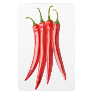 Bunch of chilli peppers magnet