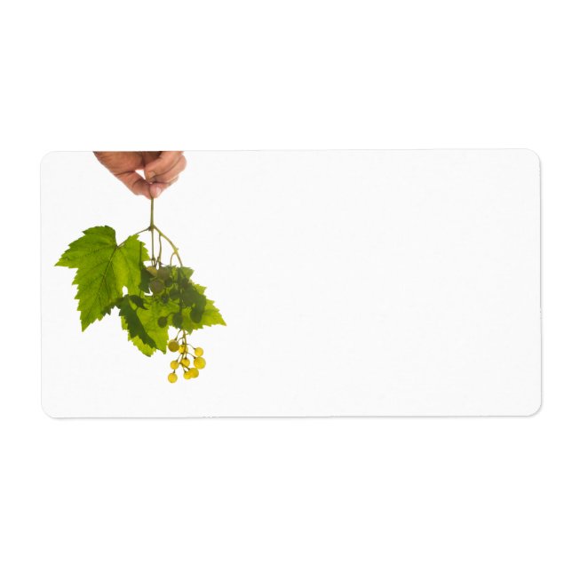 Bunch of grape (Front)