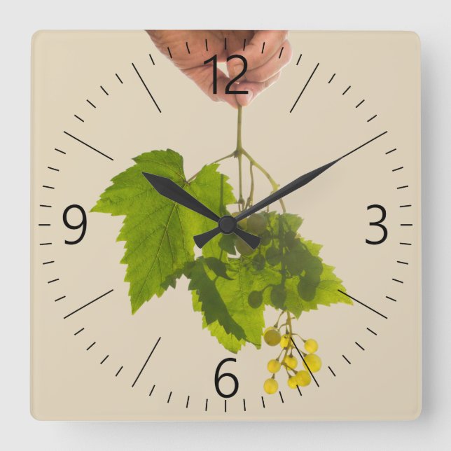 Bunch of grape square wall clock (Front)