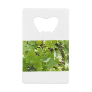 Bunch of grapes