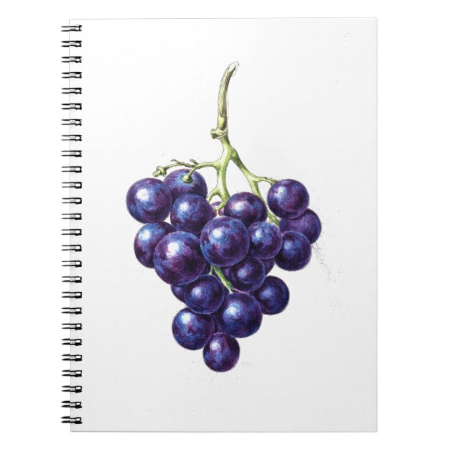 Bunch of Grapes Notebook (Front)