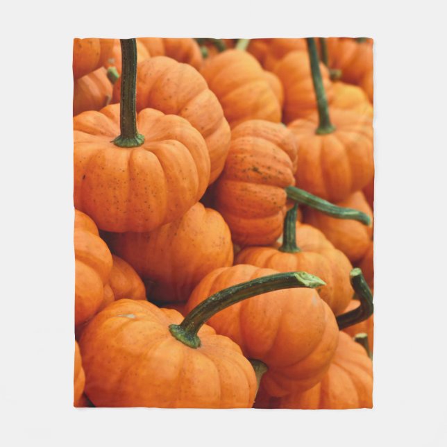 BUNCH OF PUMPKIN FLEECE BLANKET (Front)