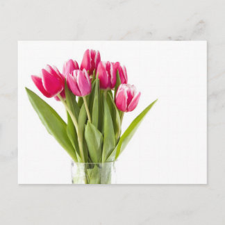 Bunch of red and white tulips in glass vase postcard