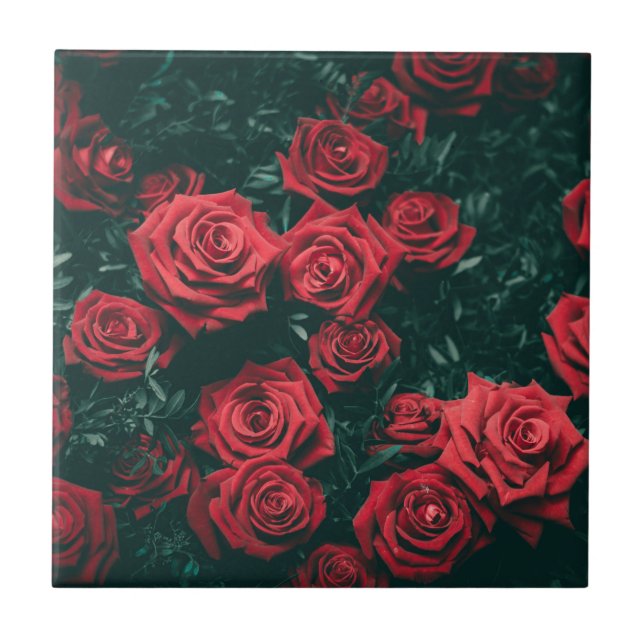 Bunch of red roses ceramic tile (Front)