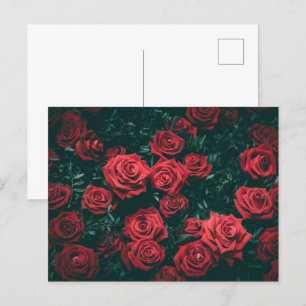 Bunch of red roses postcard