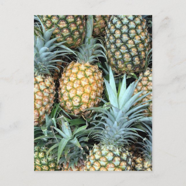 Bunch of Tropical Hawaiian Pineapples Postcard (Front)