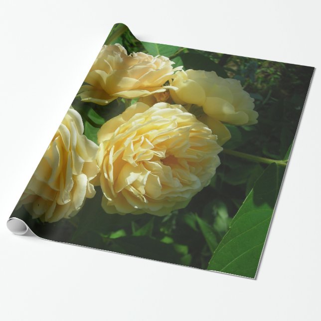 Bunch of Yellow Roses Wrapping Paper (Unrolled)
