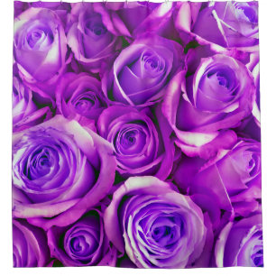 Bunch Roses background Valentine's Day Symbol of l Shower Curtain