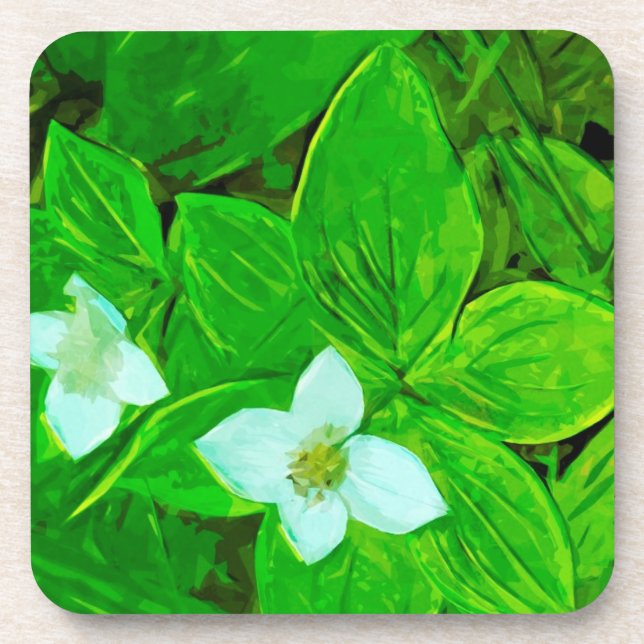 Bunchberry White Wildflower Abstract Coaster (Front)