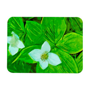 Bunchberry White Wildflower Abstract Magnet