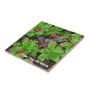 Bunchberry With Berries Ceramic Tile