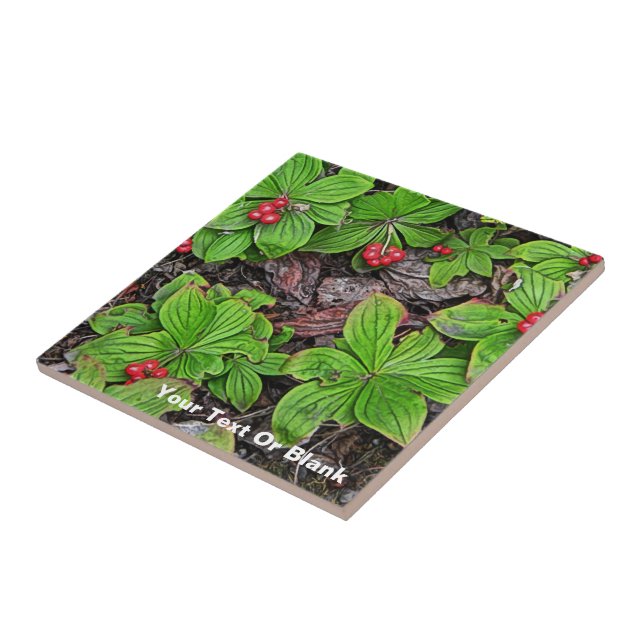 Bunchberry With Berries Ceramic Tile (Side)