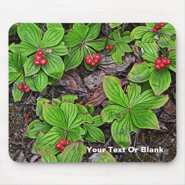 Bunchberry With Berries Mouse Pad (Front)