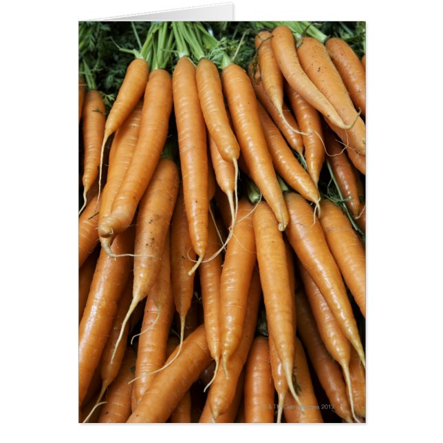 Bunches of carrots, full frame (Front)