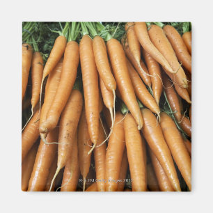 Bunches of carrots, full frame magnet