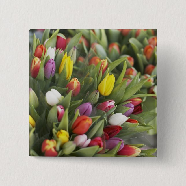 Bunches of colourful tulips 15 cm square badge (Front)