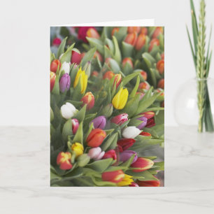 Bunches of colourful tulips card