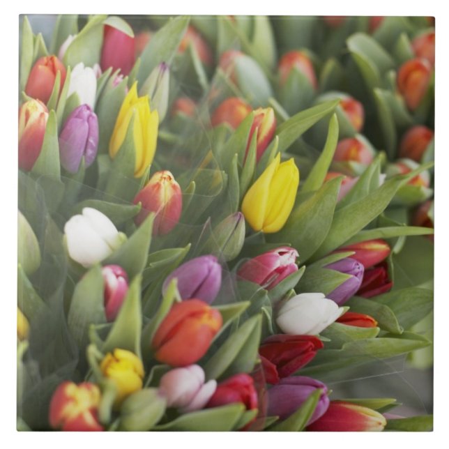 Bunches of colourful tulips ceramic tile (Front)