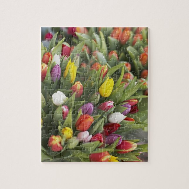 Bunches of colourful tulips jigsaw puzzle (Vertical)