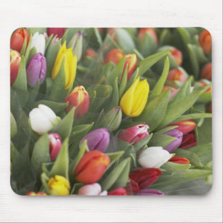 Bunches of colourful tulips mouse pad