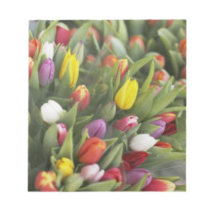 Bunches of colourful tulips notepad