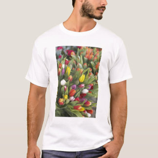 Bunches of colourful tulips T-Shirt