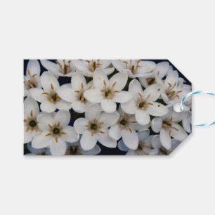 Bunches of white flowers gift tags