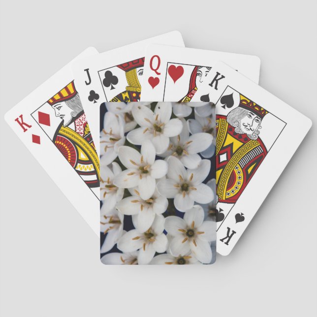 Bunches of white flowers playing cards (Back)