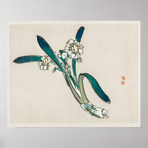 Bunchflower Daffodil by Kōno Bairei (1844-1895) Poster