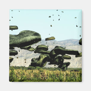 Bundles of food and water are air delivered magnet